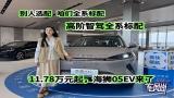 11.78万元起，高阶智驾全系标配，比亚迪海狮05EV来了