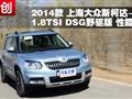 Ϻ˹´Ұ1.8TSI DSGܲ