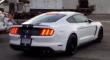 Ұ ʵҰGT350 Shelby